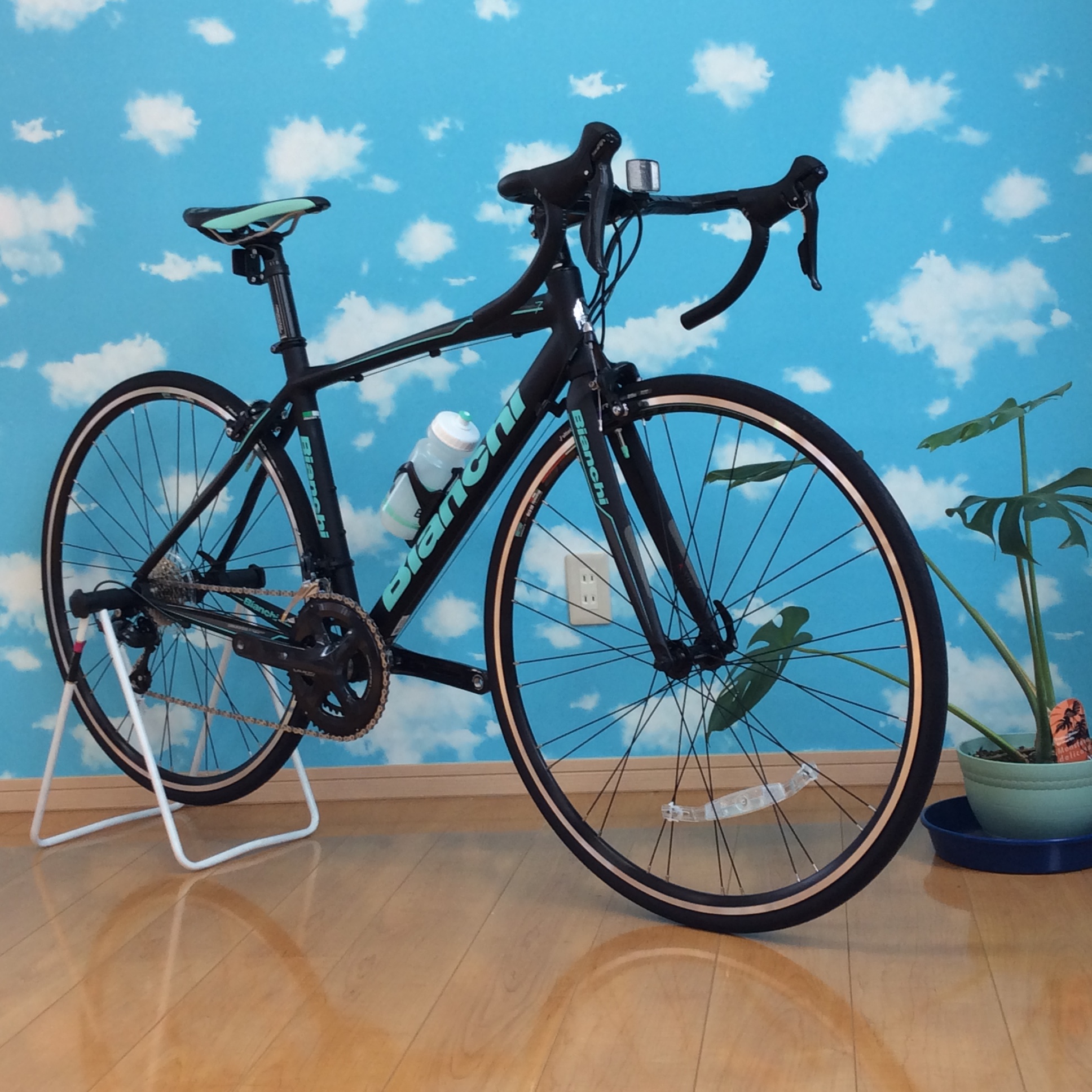 Bianchi 2017 続々入荷!