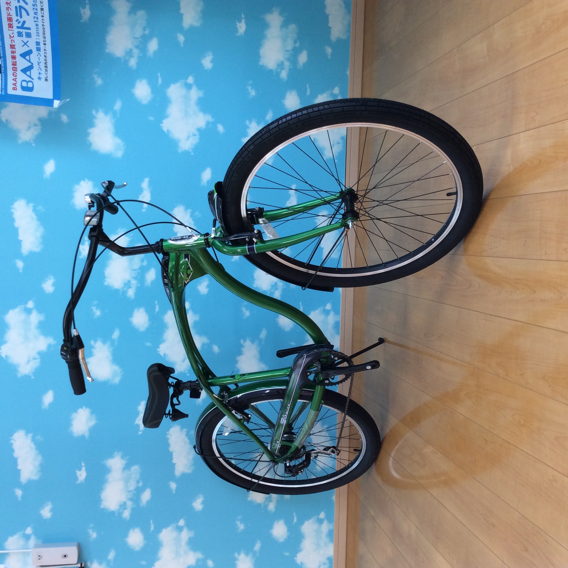 2016 SCHWINN PANTHER