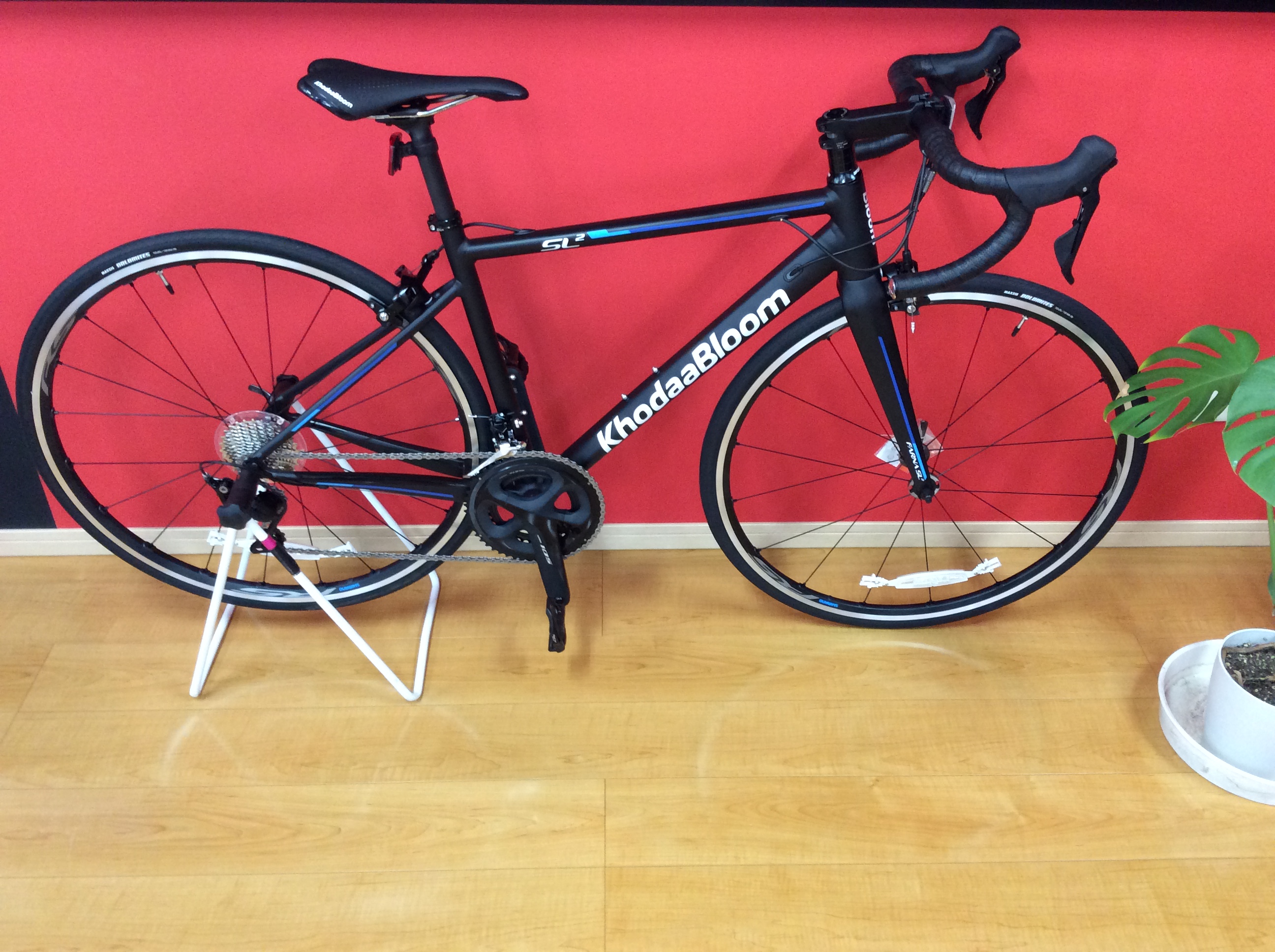 KhodaaBloom FARNA SL2-105 入荷しました!
