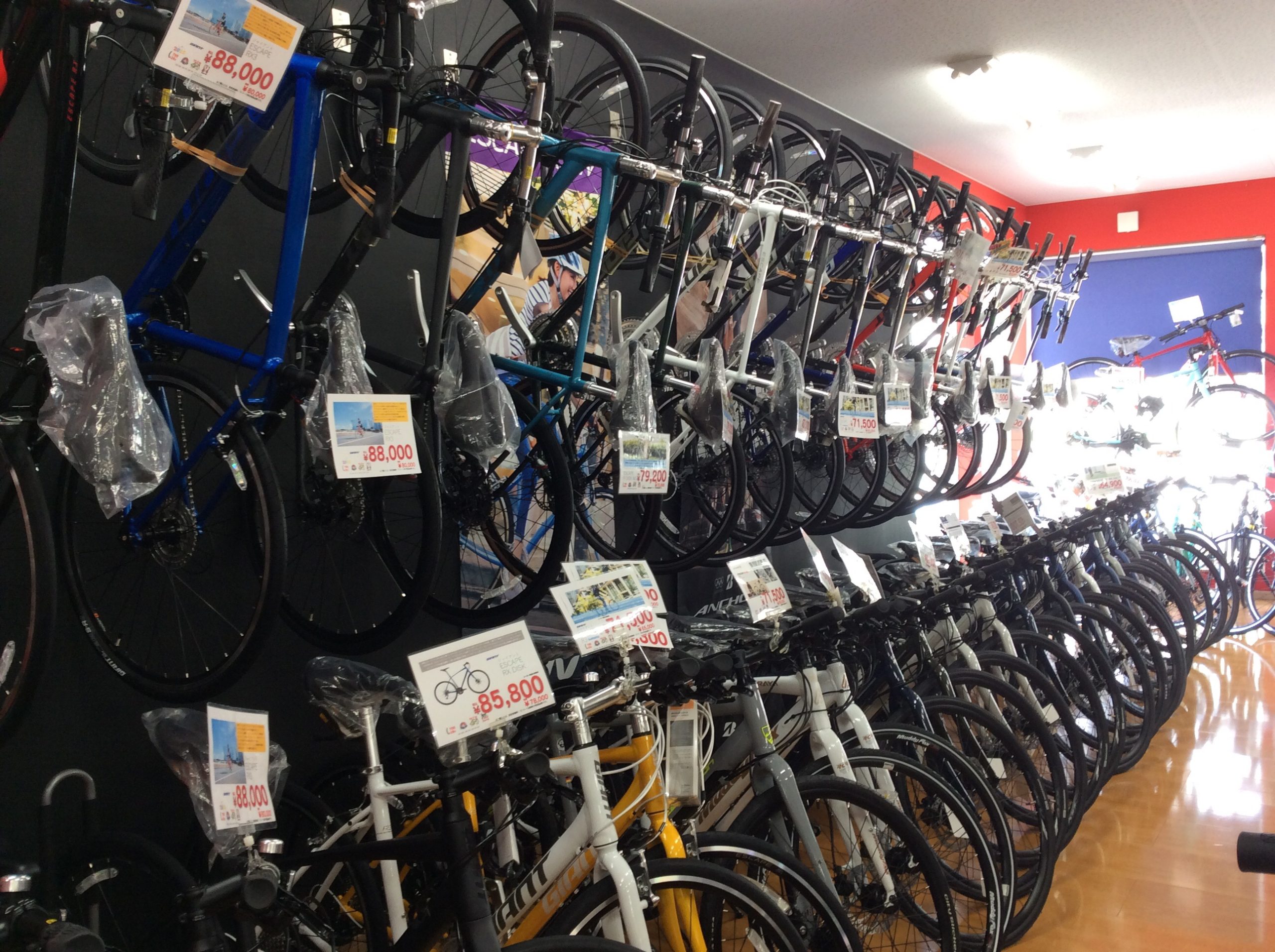GIANT 入荷情報‼︎